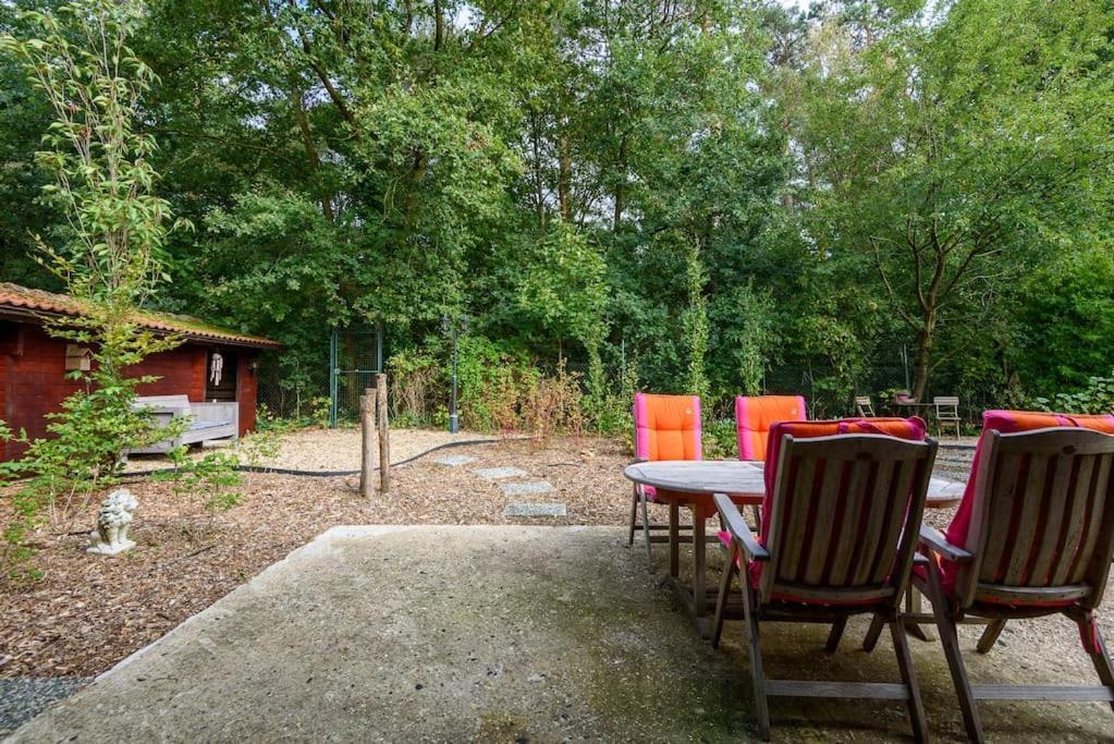 Spacious Wooden Cottage With Infra-Red Sauna At Veluwe 皮滕 外观 照片
